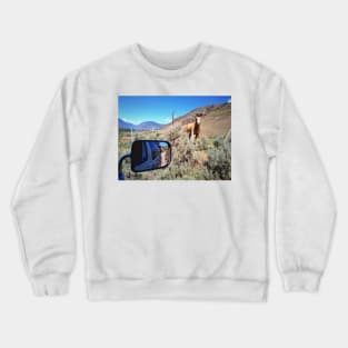 Road trip with farm animal and nature scenery in Okanagan valley, BC, Canada. Crewneck Sweatshirt